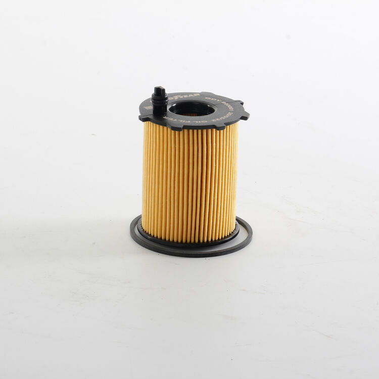 Ford oil filter compatible between 1999-2022: 2s6q 6714 EU - 3