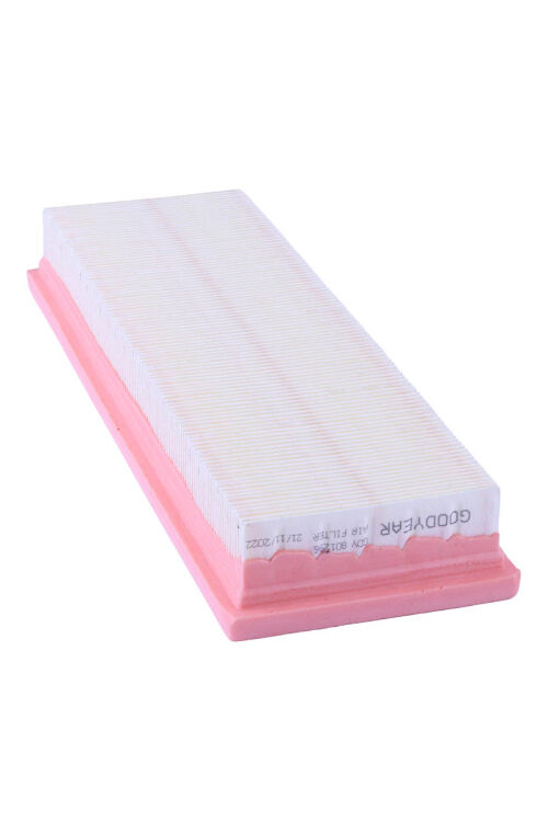 Renault Tarfıc Air Filter - 3